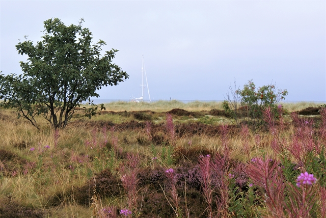 Ankerplaats Samsö