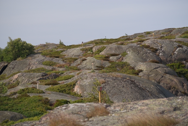 De trail rond het binnenmeer