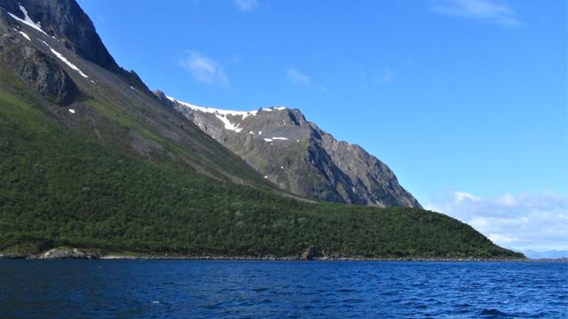 Grytøya